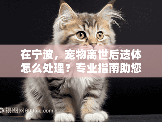 在宁波,宠物离世后遗体怎么处理?专业指南助您安心送别 在宁波,宠物离世后遗体怎么处理?专业指南助您安心送别