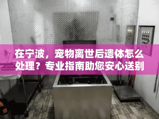 在宁波,宠物离世后遗体怎么处理?专业指南助您安心送别 在宁波,宠物离世后遗体怎么处理?专业指南助您安心送别