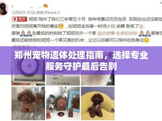 郑州宠物遗体处理指南，选择专业服务守护最后告别