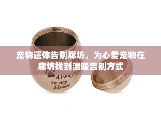 宠物遗体告别廊坊，为心爱宠物在廊坊找到温暖告别方式