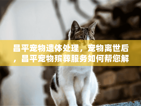 昌平宠物遗体处理，宠物离世后，昌平宠物殡葬服务如何帮您解忧？