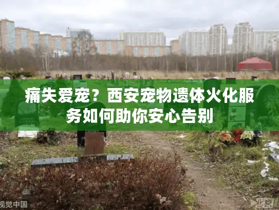 痛失爱宠？西安宠物遗体火化服务如何助你安心告别