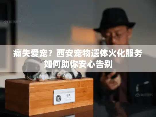 痛失爱宠？西安宠物遗体火化服务如何助你安心告别