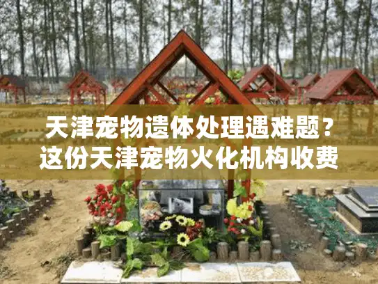 天津宠物遗体处理遇难题？这份天津宠物火化机构收费指南必收藏！