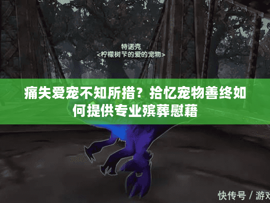 痛失爱宠不知所措？拾忆宠物善终如何提供专业殡葬慰藉