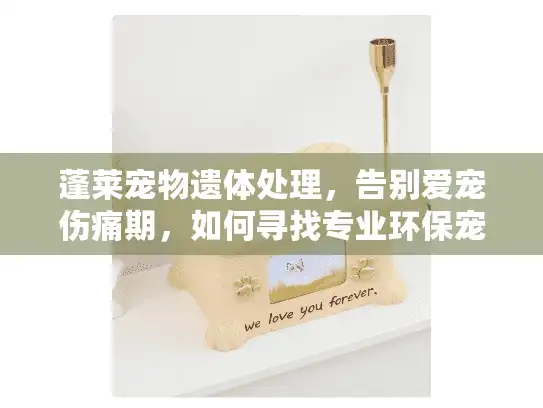 蓬莱宠物遗体处理，告别爱宠伤痛期，如何寻找专业环保宠物火化服务？