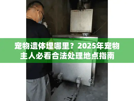 宠物遗体埋哪里?2025年宠物主人必看合法处理地点指南 宠物遗体埋哪里?2025年宠物主人必看合法处理地点指南
