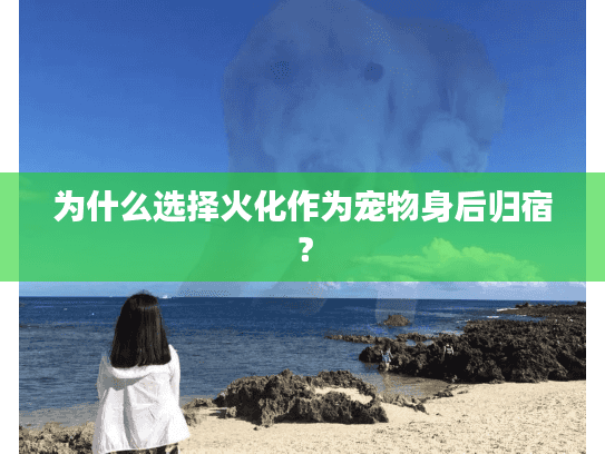 为什么选择火化作为宠物身后归宿？
