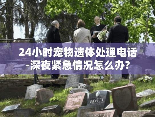24小时宠物遗体处理电话-深夜紧急情况怎么办?