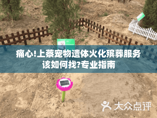 痛心!上蔡宠物遗体火化殡葬服务该如何找?专业指南 痛心!上蔡宠物遗体火化殡葬服务该如何找?专业指南