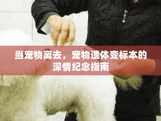 当宠物离去，宠物遗体变标本的深情纪念指南