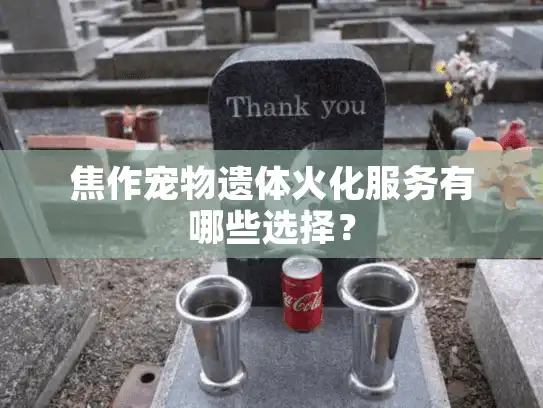 焦作宠物遗体火化服务有哪些选择？