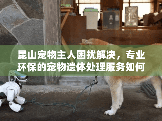 昆山宠物主人困扰解决，专业环保的宠物遗体处理服务如何选？