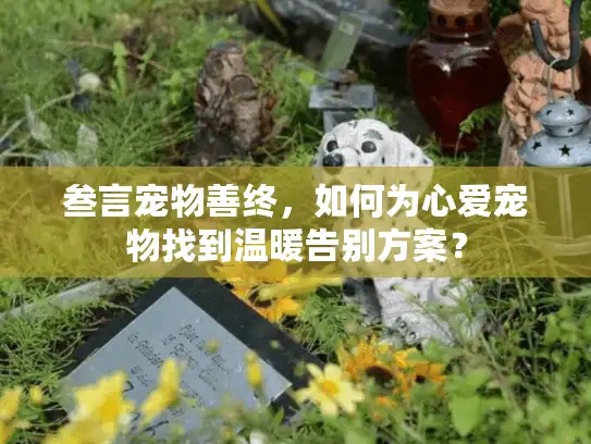 叁言宠物善终，如何为心爱宠物找到温暖告别方案？
