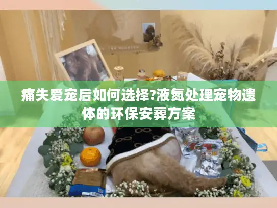 痛失爱宠后如何选择?液氮处理宠物遗体的环保安葬方案