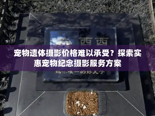 宠物遗体摄影价格难以承受?探索实惠宠物纪念摄影服务方案 宠物遗体摄影价格难以承受?探索实惠宠物纪念摄影服务方案