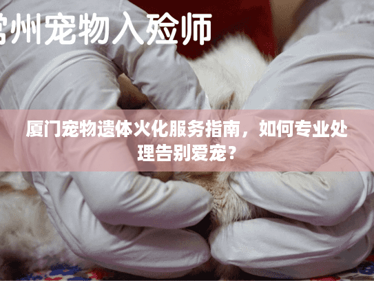 厦门宠物遗体火化服务指南，如何专业处理告别爱宠？
