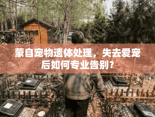 蒙自宠物遗体处理，失去爱宠后如何专业告别？