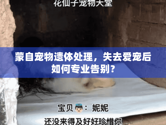蒙自宠物遗体处理，失去爱宠后如何专业告别？