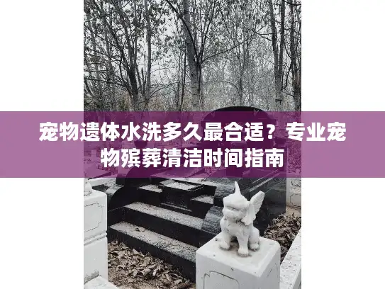 宠物遗体水洗多久最合适？专业宠物殡葬清洁时间指南