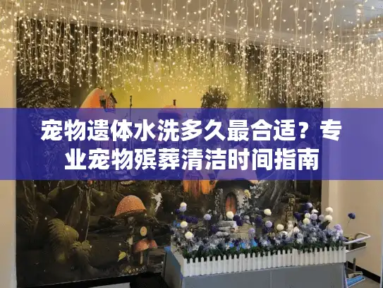 宠物遗体水洗多久最合适？专业宠物殡葬清洁时间指南