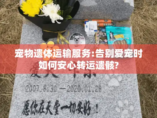 宠物遗体运输服务:告别爱宠时如何安心转运遗骸?