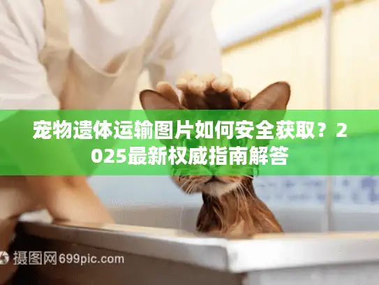 宠物遗体运输图片如何安全获取？2025最新权威指南解答