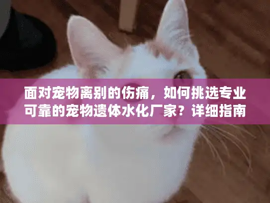 面对宠物离别的伤痛，如何挑选专业可靠的宠物遗体水化厂家？详细指南