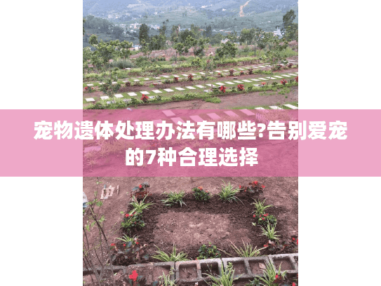 宠物遗体处理办法有哪些?告别爱宠的7种合理选择
