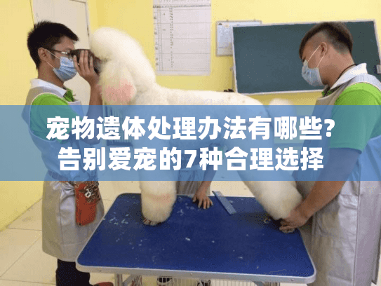 宠物遗体处理办法有哪些?告别爱宠的7种合理选择