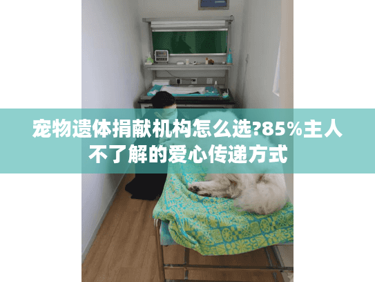 宠物遗体捐献机构怎么选?85%主人不了解的爱心传递方式