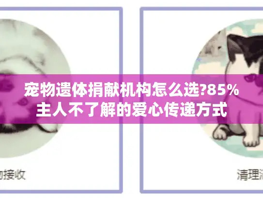 宠物遗体捐献机构怎么选?85%主人不了解的爱心传递方式