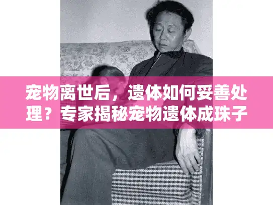 宠物离世后,遗体如何妥善处理?专家揭秘宠物遗体成珠子服务 宠物离世后,遗体如何妥善处理?专家揭秘宠物遗体成珠子服务