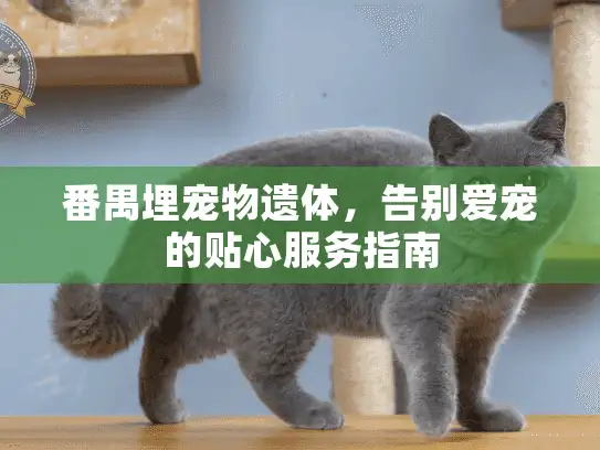 番禺埋宠物遗体,告别爱宠的贴心服务指南 番禺埋宠物遗体,告别爱宠的贴心服务指南