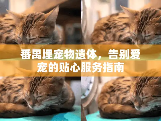 番禺埋宠物遗体,告别爱宠的贴心服务指南 番禺埋宠物遗体,告别爱宠的贴心服务指南