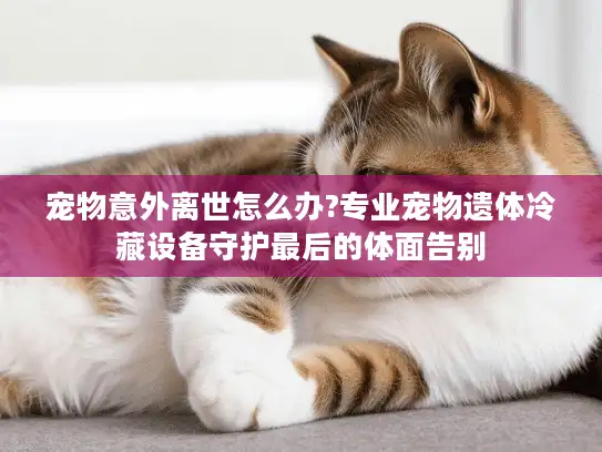 宠物意外离世怎么办?专业宠物遗体冷藏设备守护最后的体面告别