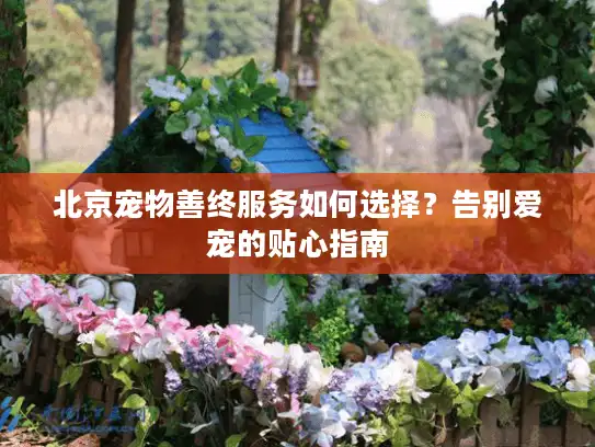北京宠物善终服务如何选择？告别爱宠的贴心指南