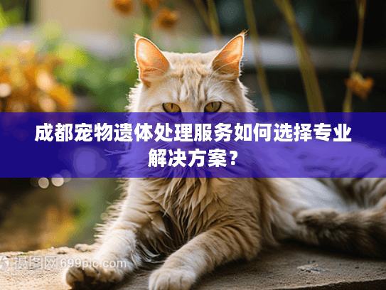 成都宠物遗体处理服务如何选择专业解决方案? 成都宠物遗体处理服务如何选择专业解决方案?