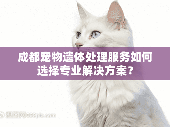 成都宠物遗体处理服务如何选择专业解决方案? 成都宠物遗体处理服务如何选择专业解决方案?