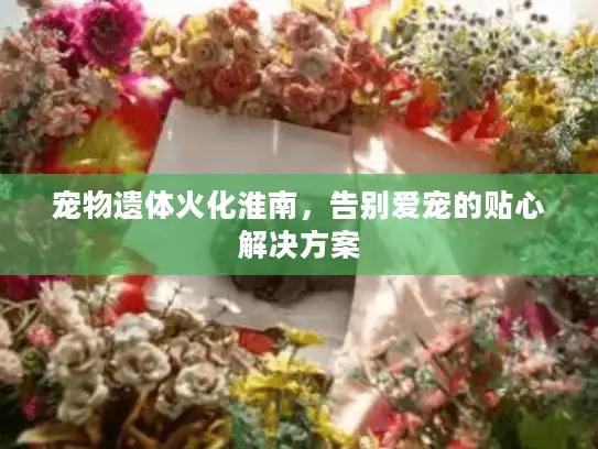 宠物遗体火化淮南,告别爱宠的贴心解决方案 宠物遗体火化淮南,告别爱宠的贴心解决方案