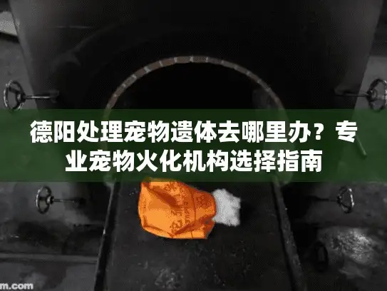 德阳处理宠物遗体去哪里办？专业宠物火化机构选择指南