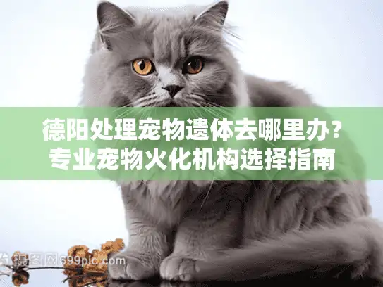 德阳处理宠物遗体去哪里办？专业宠物火化机构选择指南