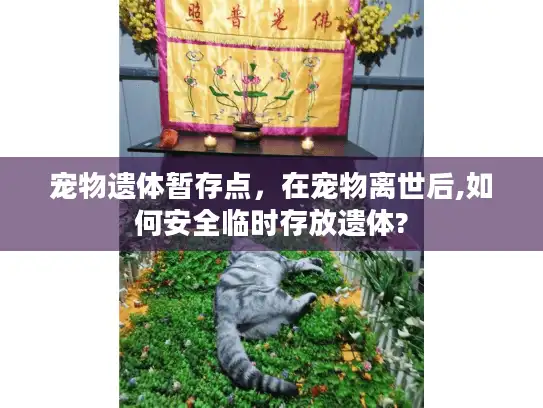 宠物遗体暂存点，在宠物离世后,如何安全临时存放遗体?