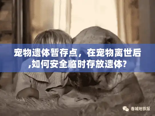 宠物遗体暂存点，在宠物离世后,如何安全临时存放遗体?