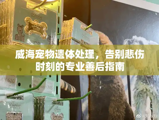 威海宠物遗体处理,告别悲伤时刻的专业善后指南 威海宠物遗体处理,告别悲伤时刻的专业善后指南