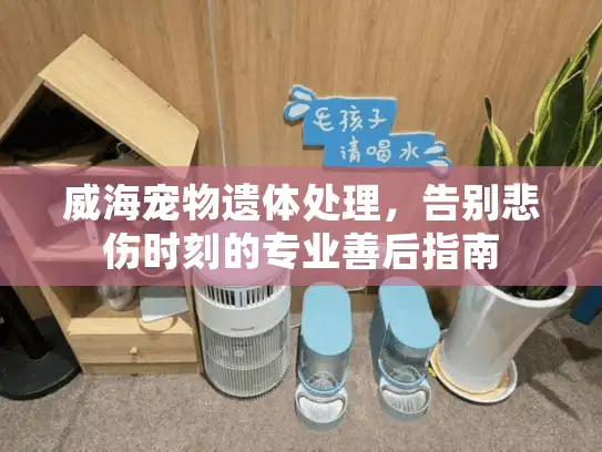 威海宠物遗体处理,告别悲伤时刻的专业善后指南 威海宠物遗体处理,告别悲伤时刻的专业善后指南