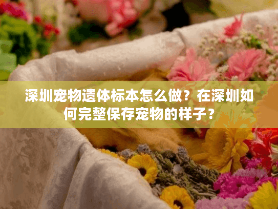 深圳宠物遗体标本怎么做？在深圳如何完整保存宠物的样子？
