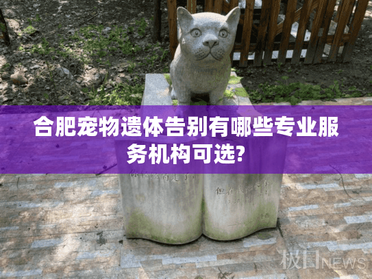 合肥宠物遗体告别有哪些专业服务机构可选?