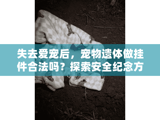 失去爱宠后，宠物遗体做挂件合法吗？探索安全纪念方式