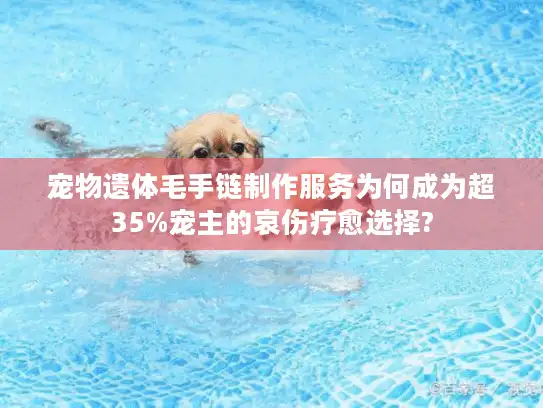 宠物遗体毛手链制作服务为何成为超35%宠主的哀伤疗愈选择?